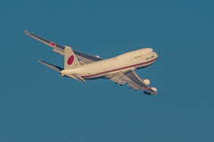 白鳥捜査・・・25