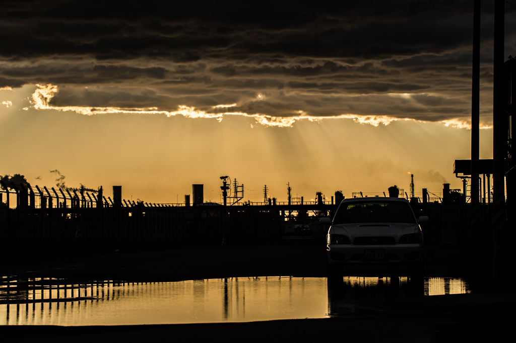 No License 120Days・・・31