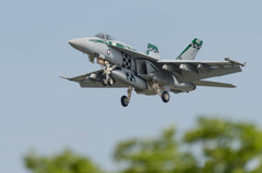 ＃400　 VFA-195 Dambusters