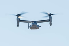 祭りの予感・・・3