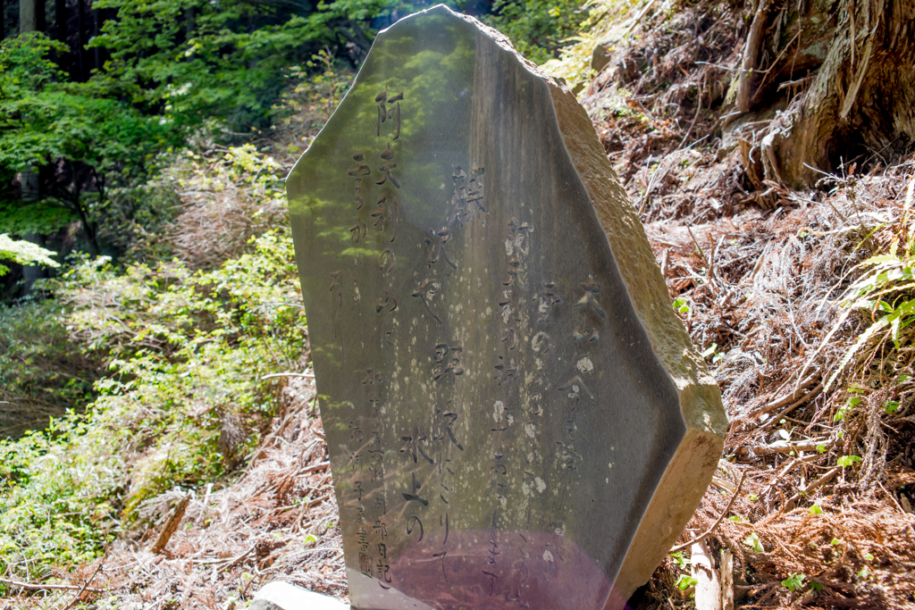 大山編に戻ります・・・