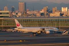 ハミングバードに逢いたくて・・・9