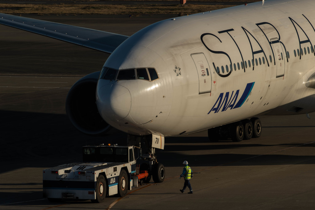 朝日を浴びて・・・