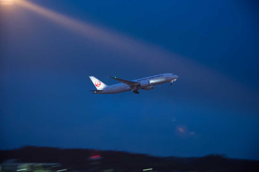 JAL　B787