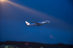 JAL　B787