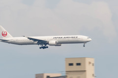 野鳥公園にて　11