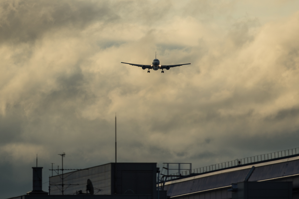 こっちじゃないよー