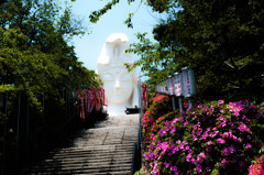 第3ラウンド　お題　参道　撮影者　娘。