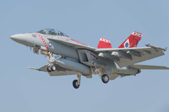 #100 VFA-102 Diamondbacks