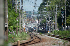 ん？来たかな？