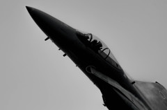 迫力のイーグル