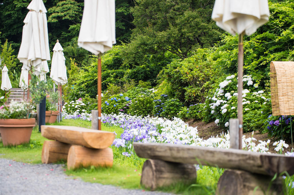 自分の写真を見ると・・・