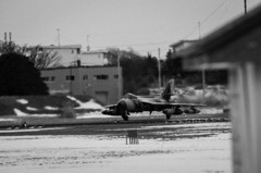 物陰からヤツが・・・ハンターが現れた！