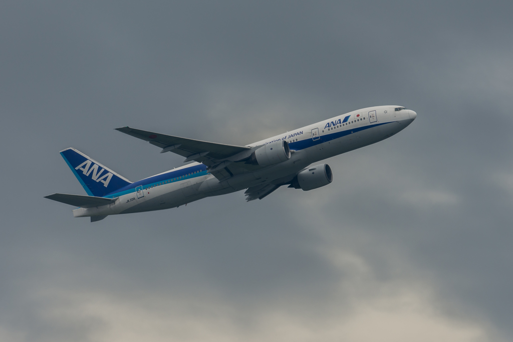 普段は、遠くて狙わないけど