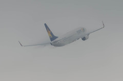 ┌( ﾟДﾟ)ﾉ ｲｯﾃﾗｯｼｬｨ