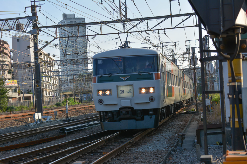 手振ってくれたー！