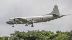 ゴーアラしたP-3C