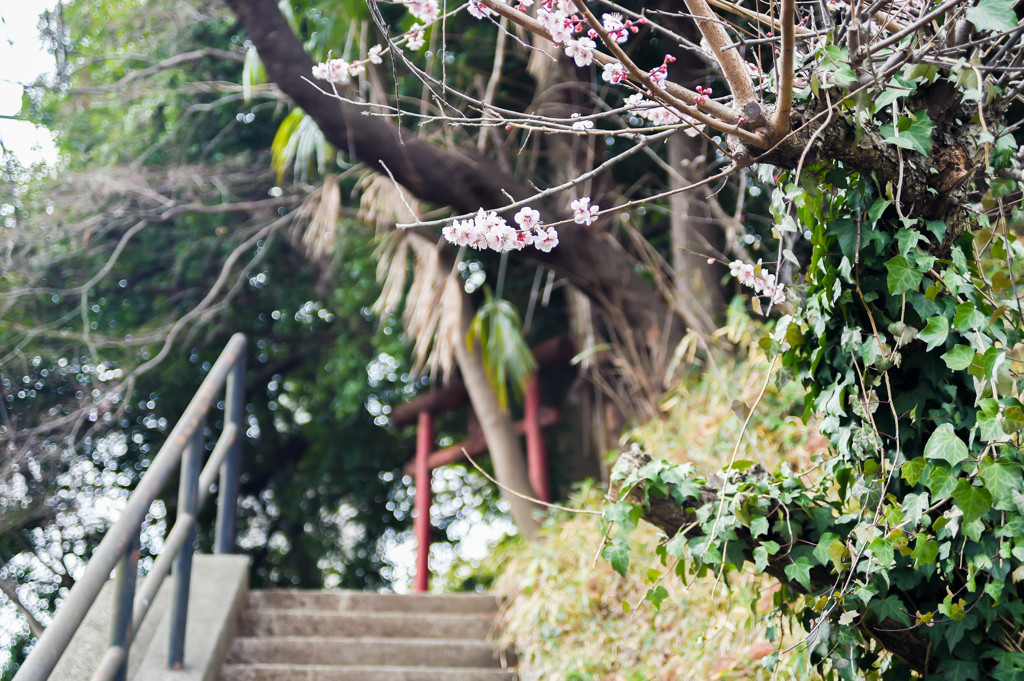 オールドレンズ4500円　3