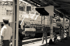 夢中になれる事