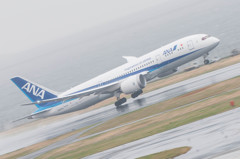 ANA　B787　雨中離陸