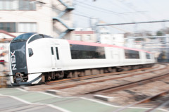 E259　成田エクスプレス