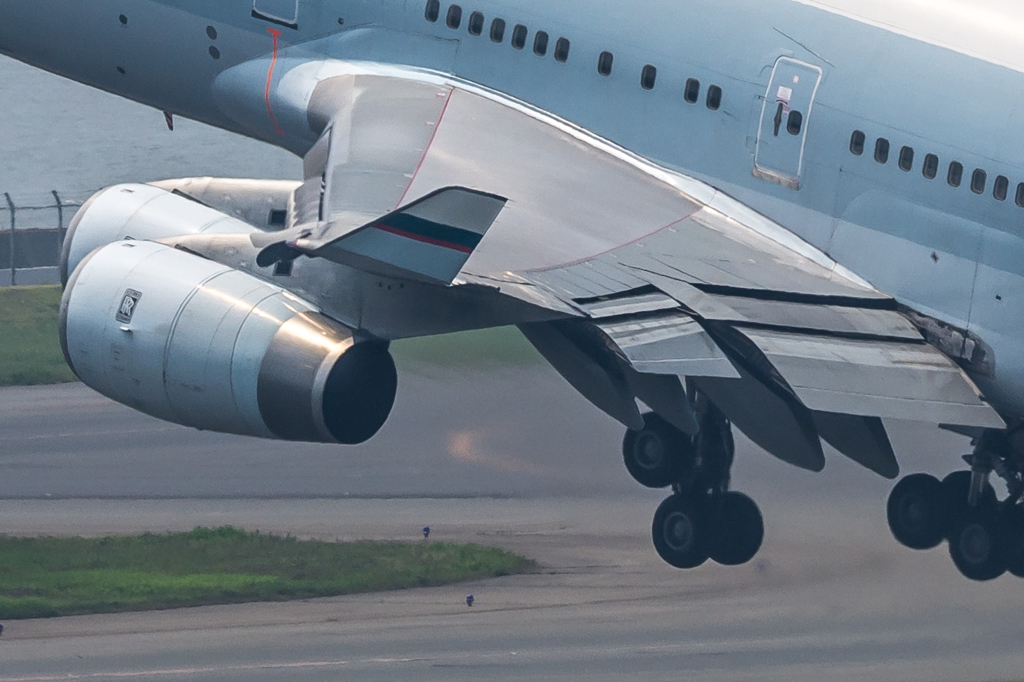 金太郎飴？？？