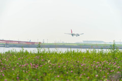 城南島物語　JAL　B767