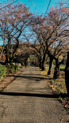 横田基地はこちらでよろしいですか？