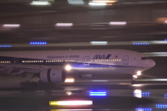 Typhoon19・・・51