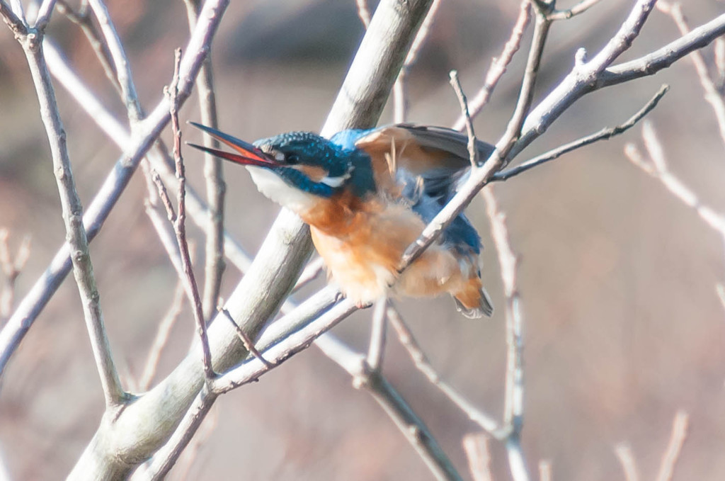 うーん！今日もいっぱい食べたなぁ