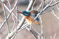 うーん！今日もいっぱい食べたなぁ