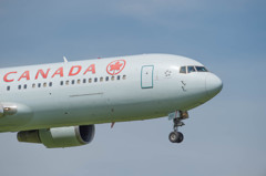 お父さんの夏休み3