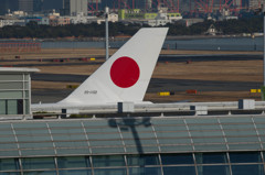 白鳥捜査・・・17