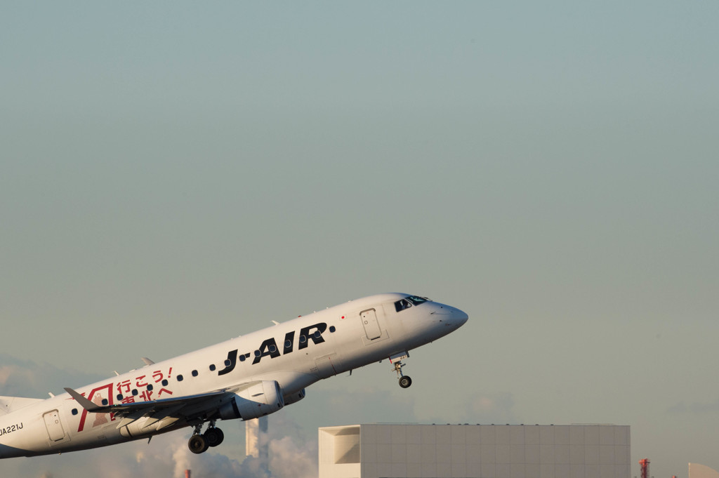 ハミングバードｷﾀ――(ﾟ∀ﾟ)――!!・・・1