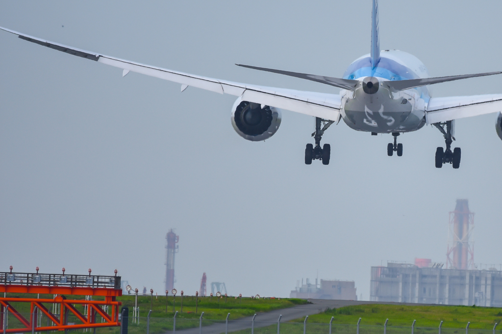 D7200とシグマ150-600contemporary・・・13