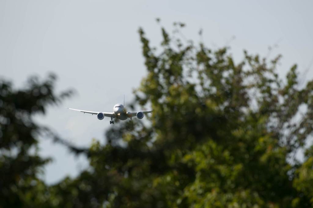 お父さんの夏休み33