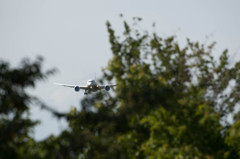 お父さんの夏休み33