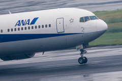 Typhoon19・・・33