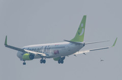 おっお魚ゲットォ？？(((( ;ﾟдﾟ))))ｱﾜﾜﾜﾜ