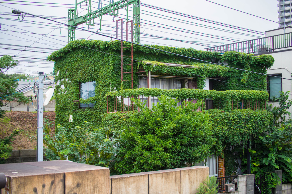 涼しいのかな？