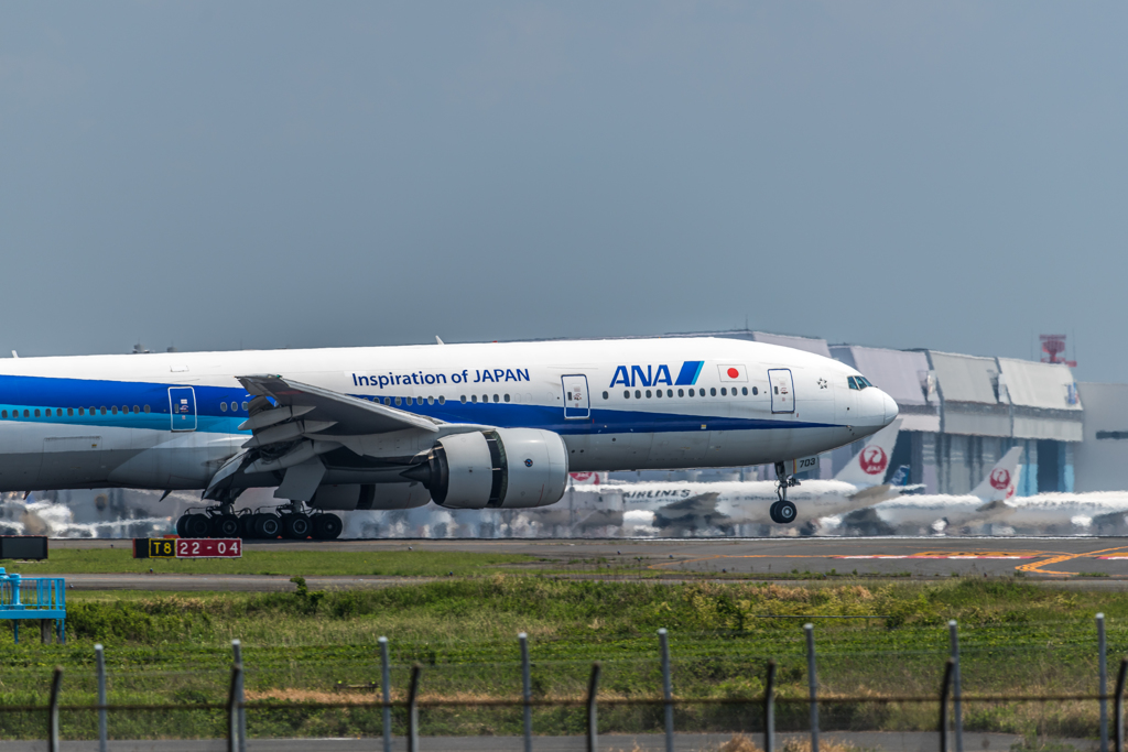 モノノフが集いし京浜島・・・１３