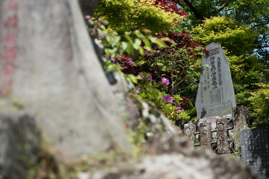 謎の石碑・・・