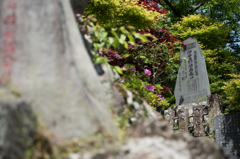 謎の石碑・・・