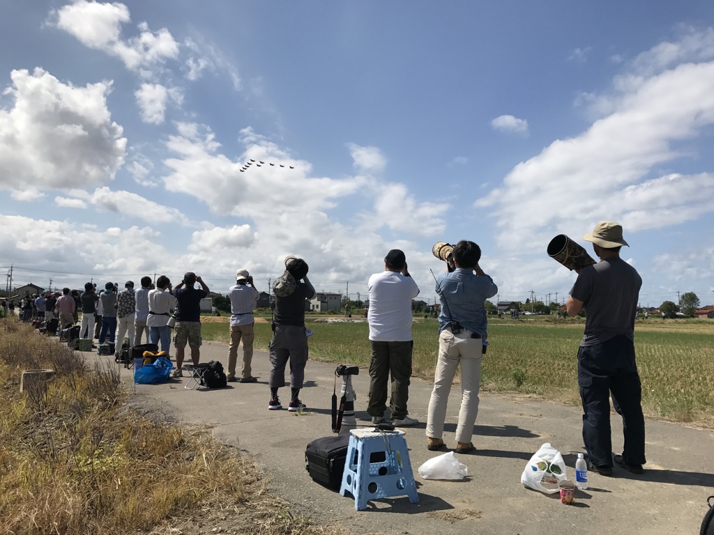 小松航空祭予行 大編隊