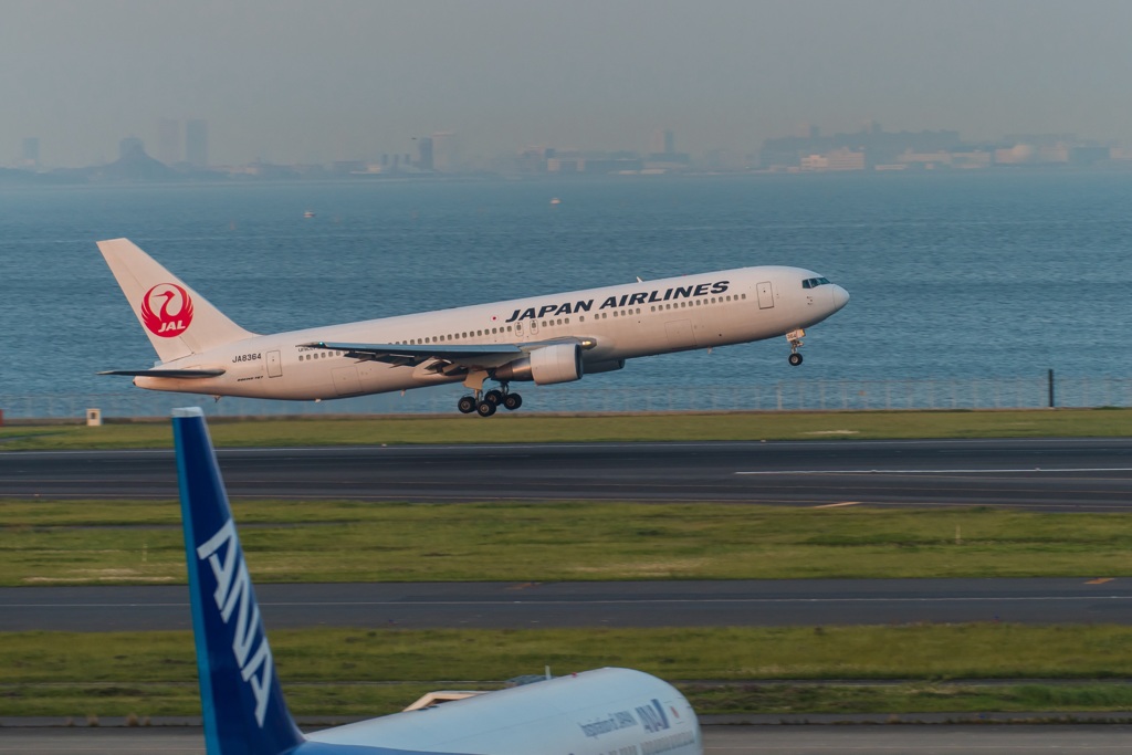 Nolicense30days・・・50