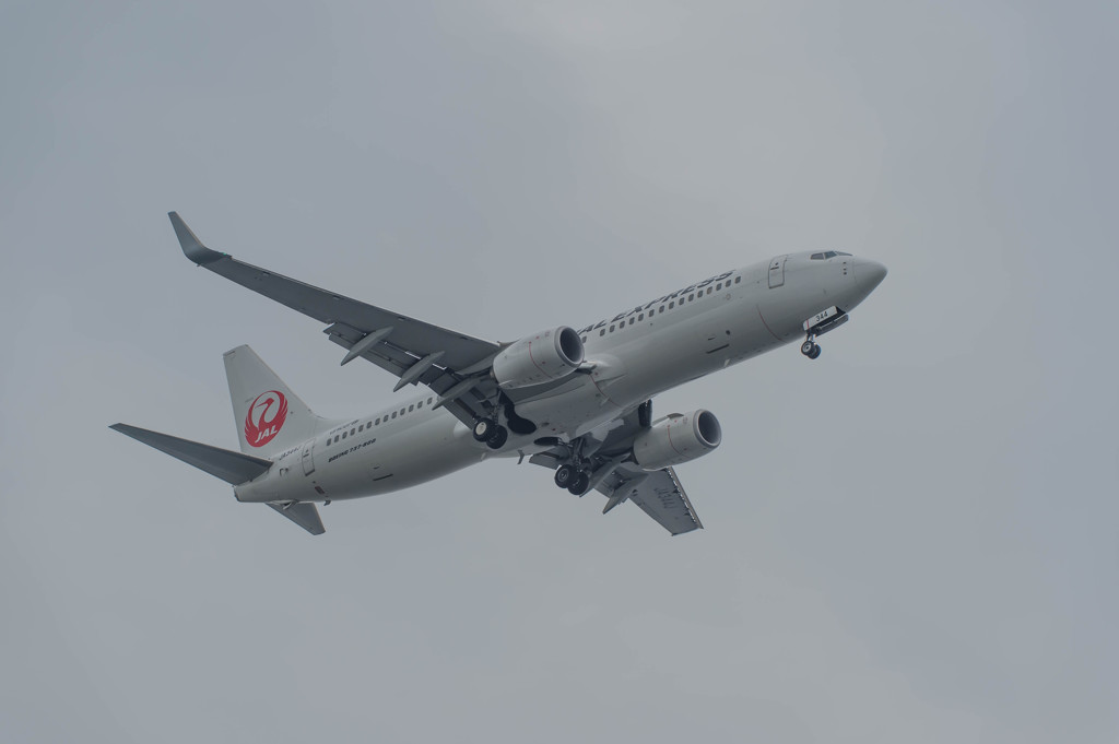城南島物語　JAL　B737