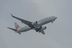 城南島物語　JAL　B737