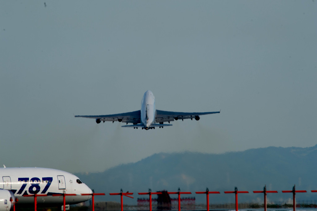 通常業務・・・あっ|ﾟДﾟ)))