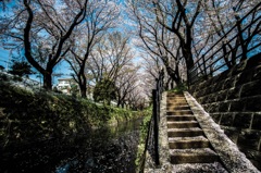 通常の3倍の・・・15 通常の3倍の・・・15