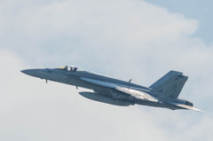 ＃310　VFA-115 Eagles
